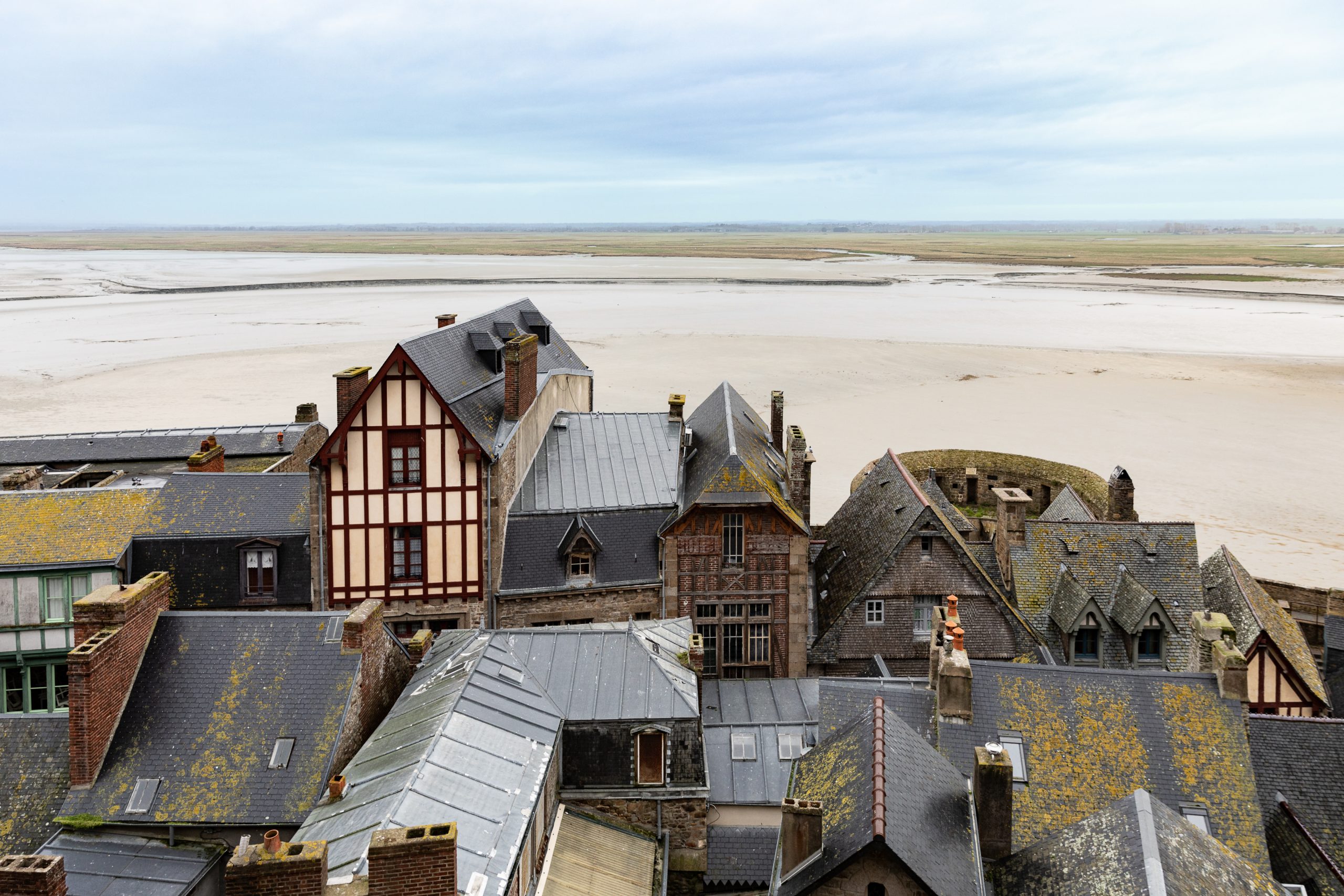 53652aa24907dfe42a086efce1d8e364 scaled