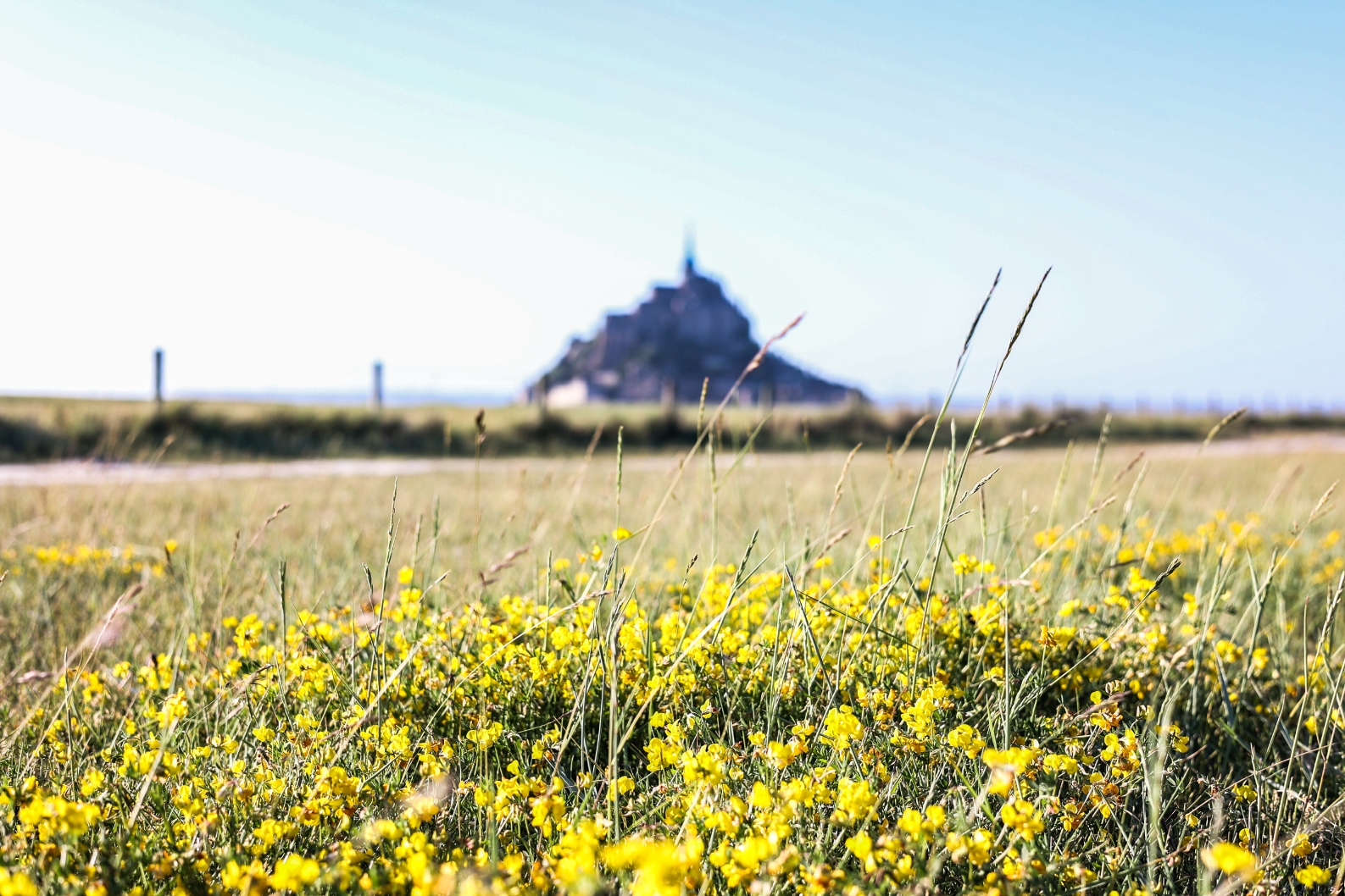 La Mere Poulard ElodieOliveiraPhotographe 305